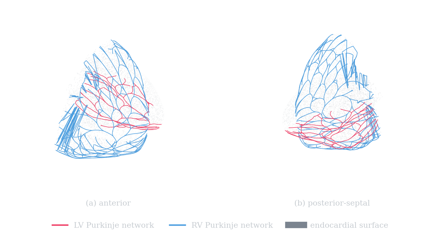 The fixed crtdemo biventricular anatomy with a grown fractal Purkinje network overlaid on the endocardium.